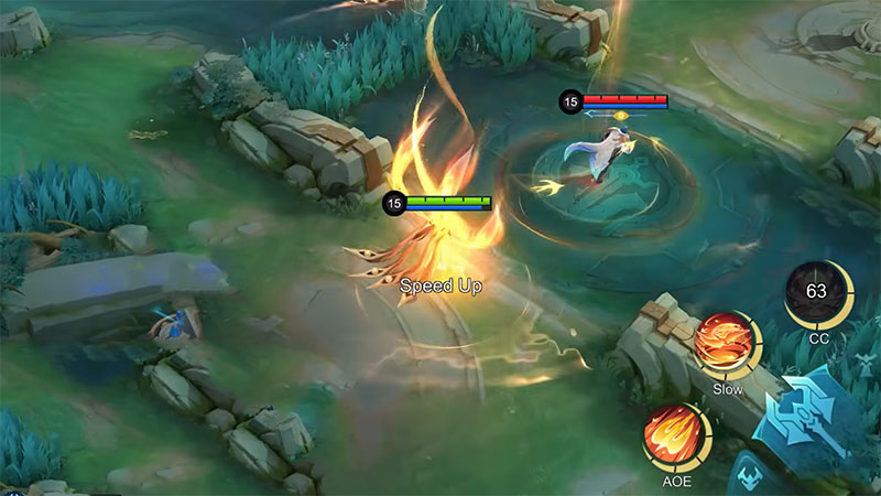 Fury of the Phoenix